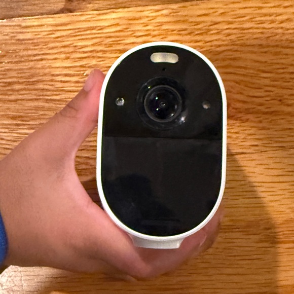 Arlo - Picture 4 of 6